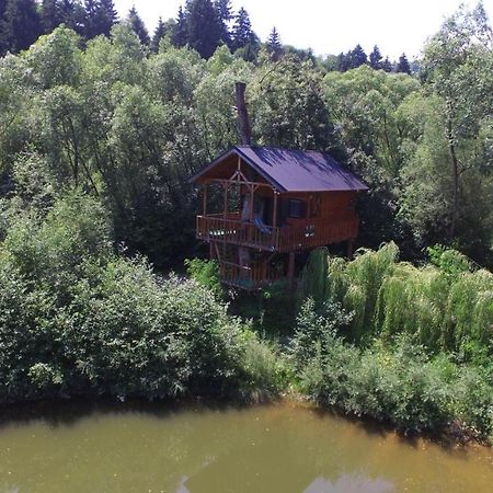 Cuibul Vulturilor - Casuta In Copac Villa Moisei Exteriör bild