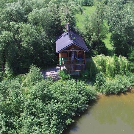 Cuibul Vulturilor - Casuta In Copac Villa Moisei Exteriör bild