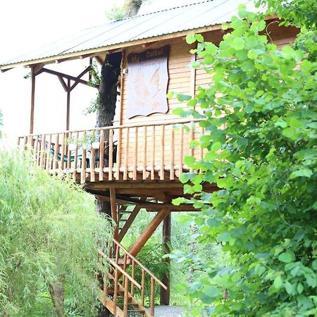 Cuibul Vulturilor - Casuta In Copac Villa Moisei Exteriör bild