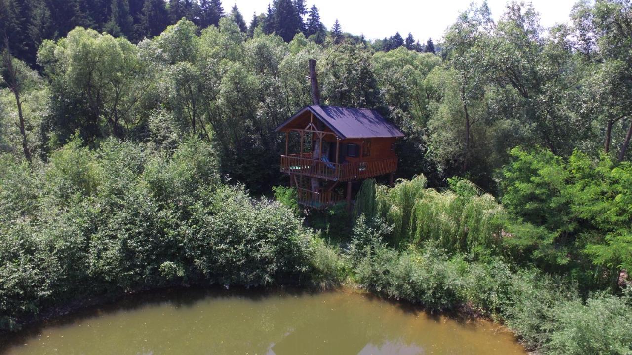 Cuibul Vulturilor - Casuta In Copac Villa Moisei Exteriör bild