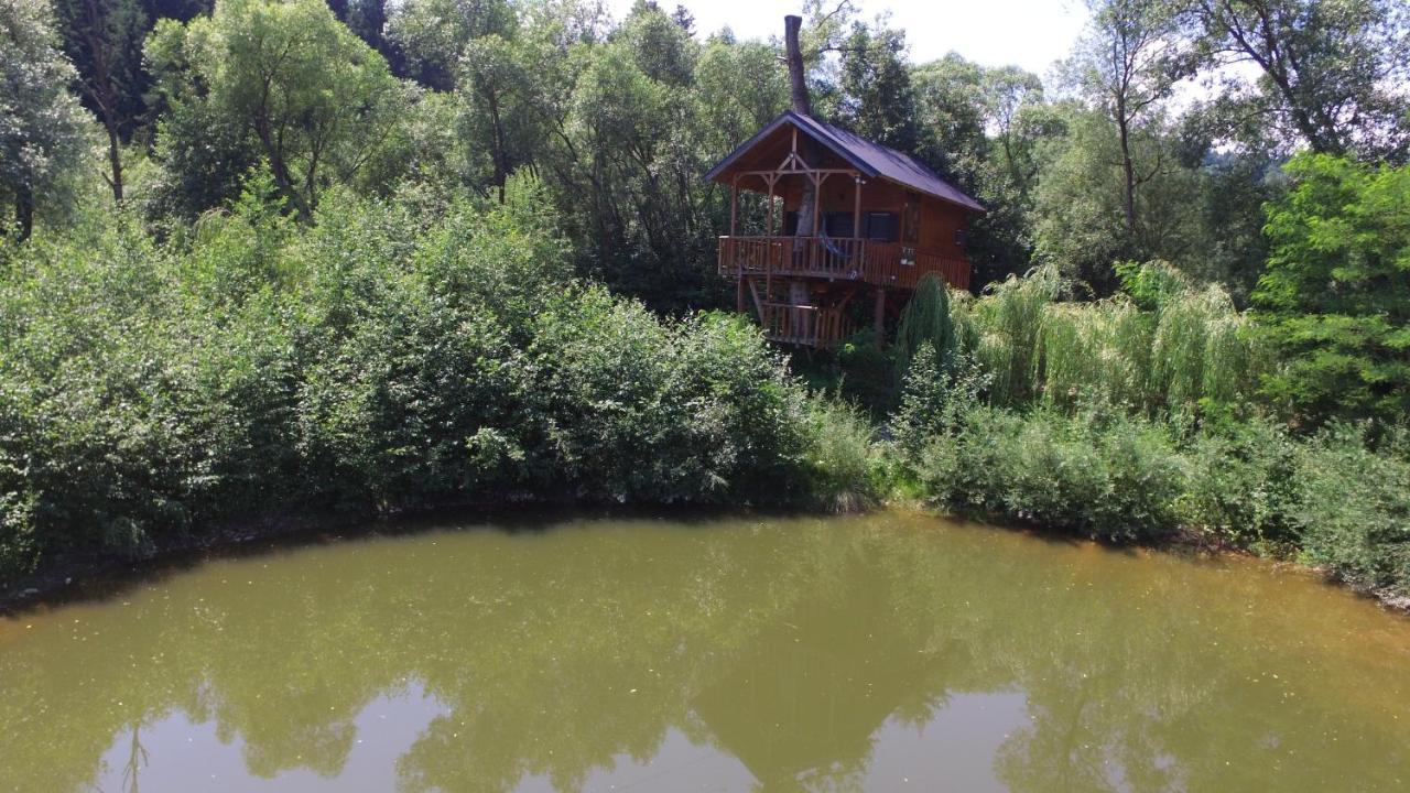Cuibul Vulturilor - Casuta In Copac Villa Moisei Exteriör bild