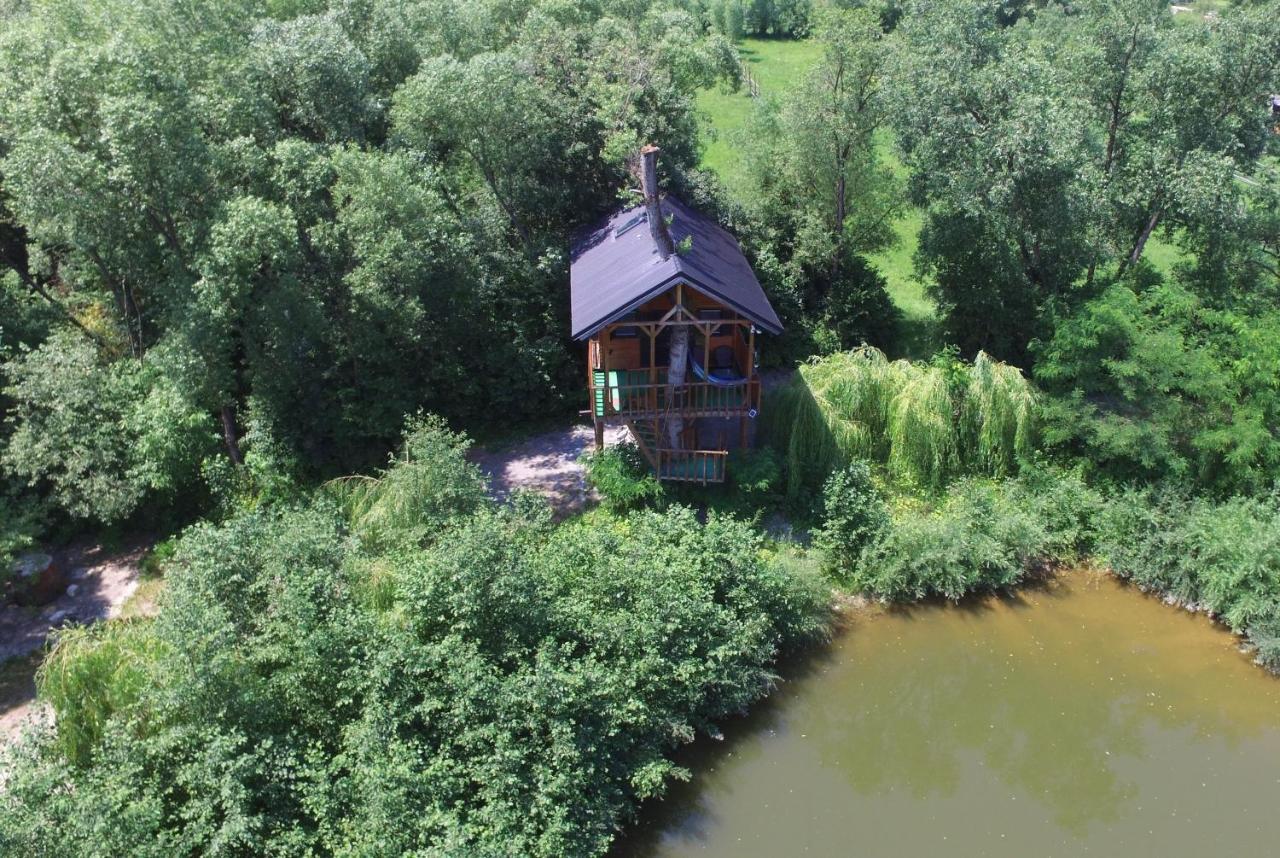 Cuibul Vulturilor - Casuta In Copac Villa Moisei Exteriör bild
