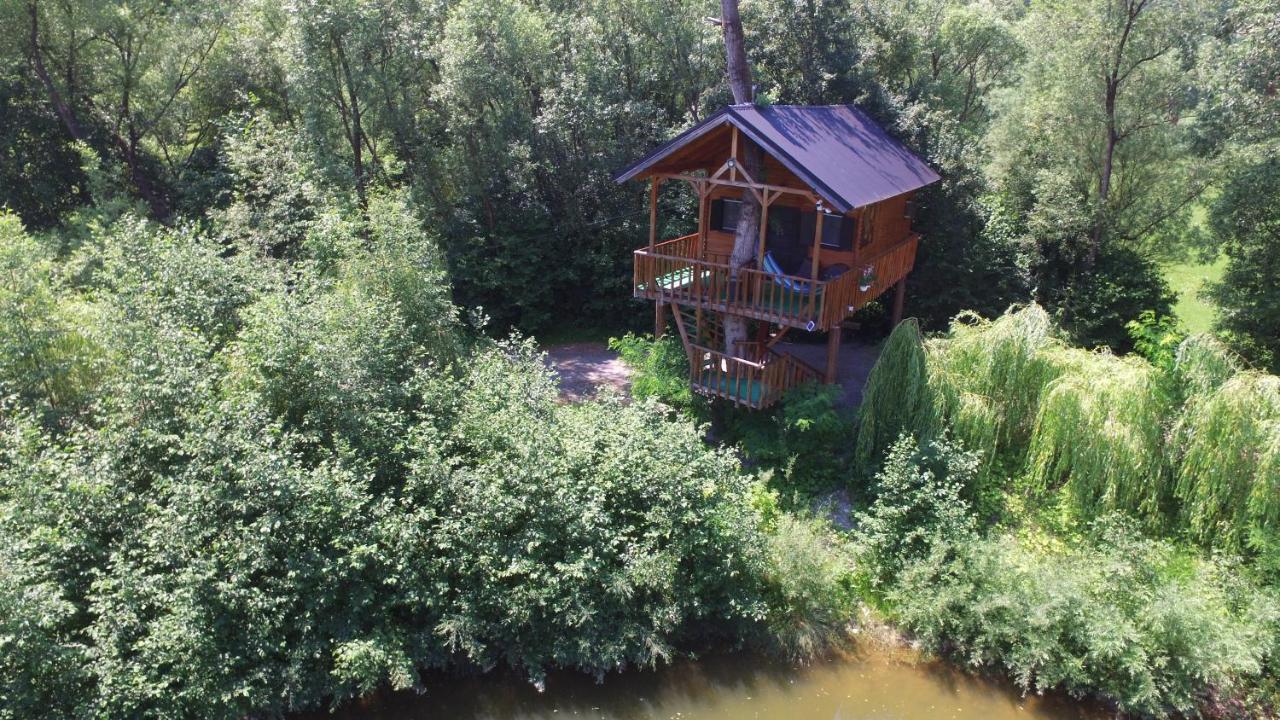 Cuibul Vulturilor - Casuta In Copac Villa Moisei Exteriör bild
