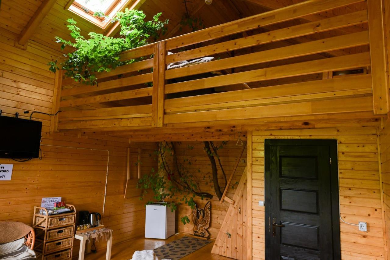 Cuibul Vulturilor - Casuta In Copac Villa Moisei Exteriör bild
