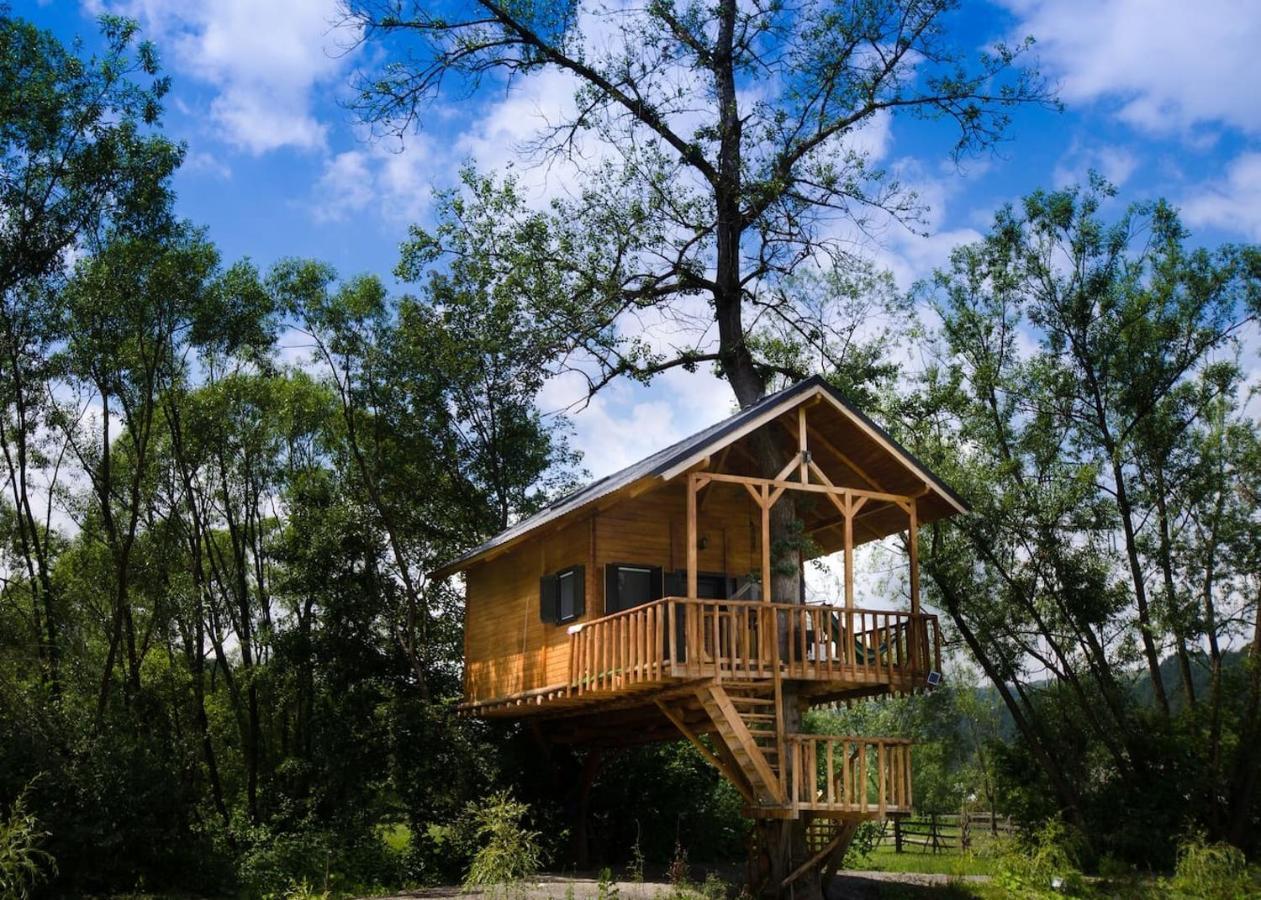Cuibul Vulturilor - Casuta In Copac Villa Moisei Exteriör bild
